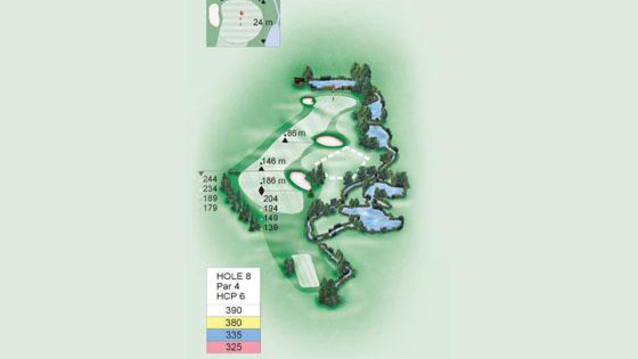 Video Flyover Hole 8