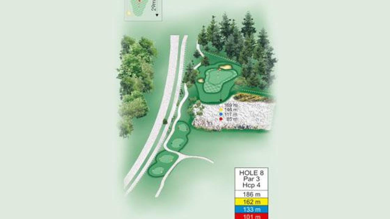 Video Flyover Hole 8